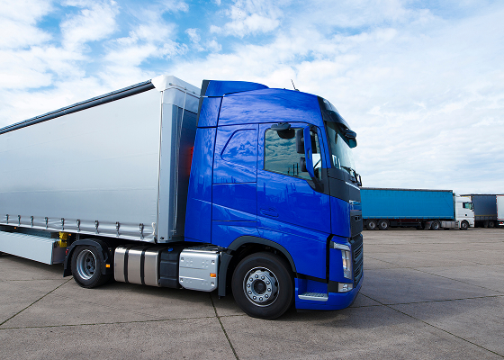 Гибкость и адаптивность